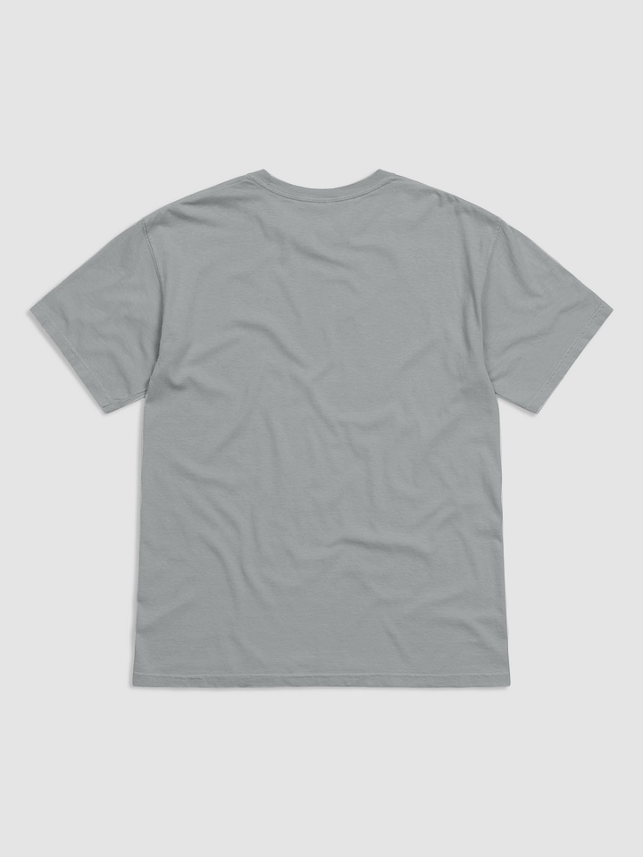anointed t-shirt 🩶 product image (2)