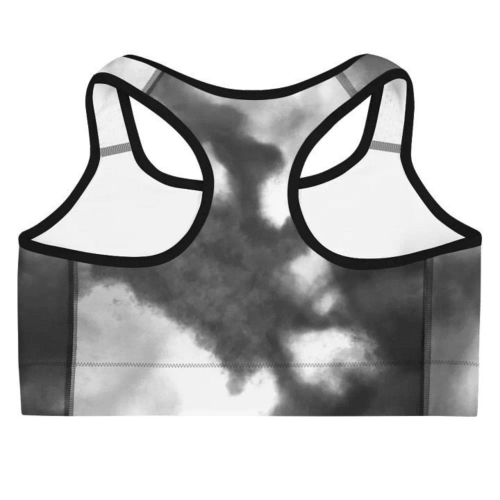 Women's Sports Bra (Partly Cloudy) product image (2)