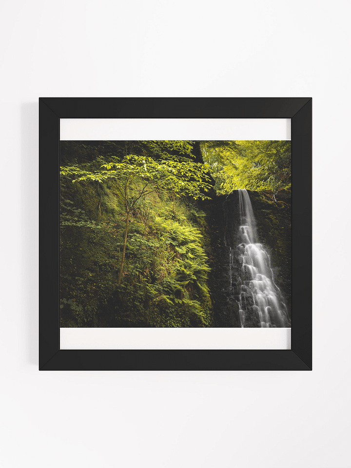 Falling Foss Sapling product image (3)