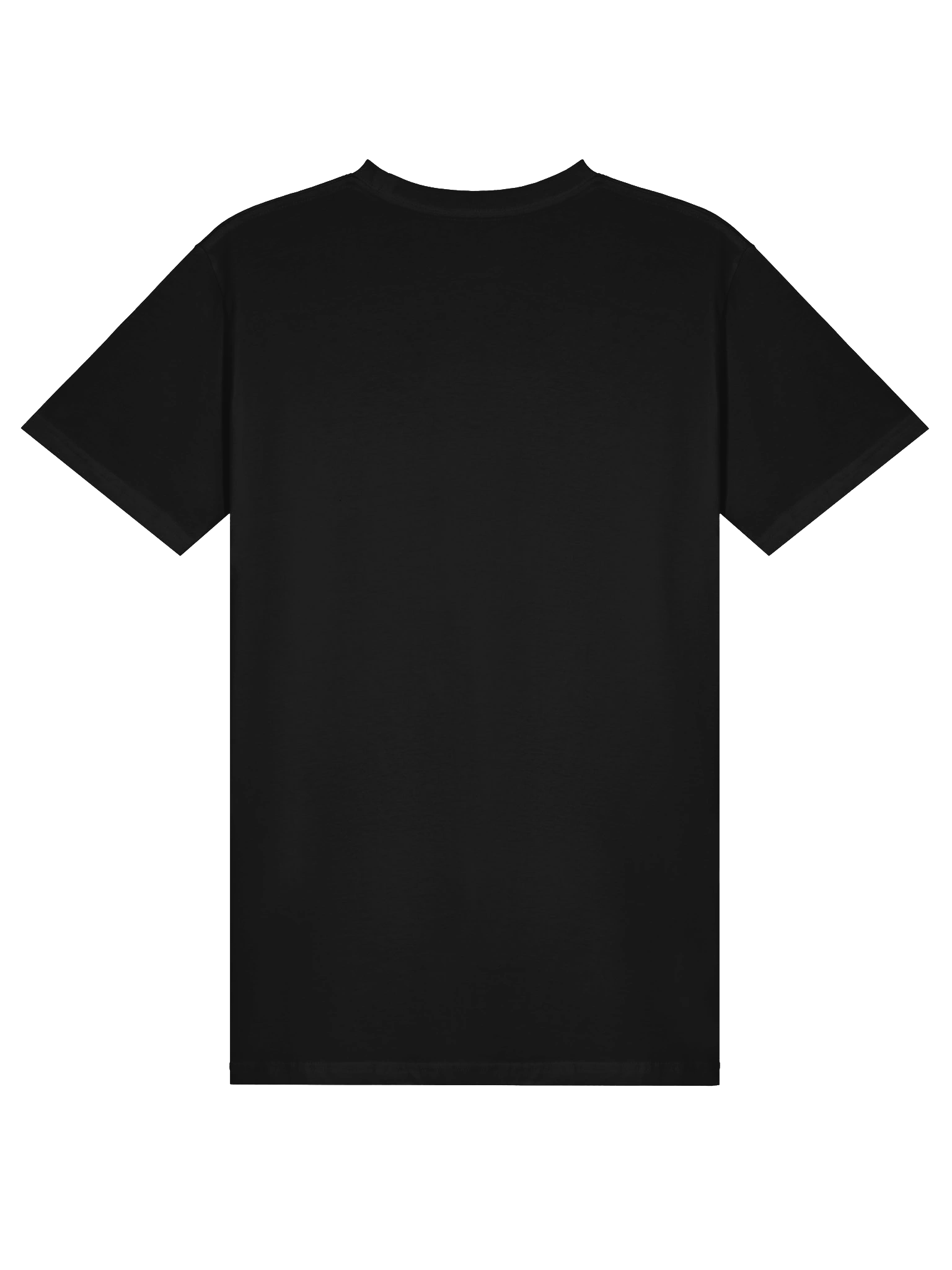Pickleball Chick Unisex Tee product image (19)