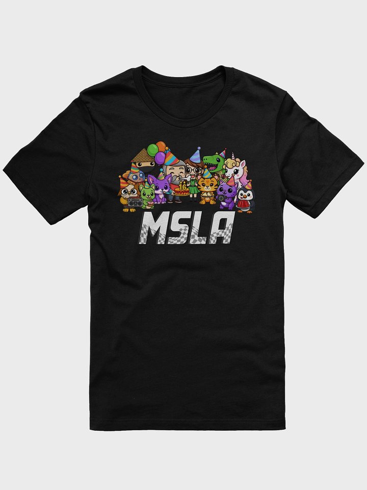 MSLA Sweet Sixteen - T-Shirt product image (67)