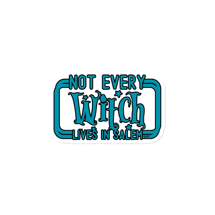 NOT EVERY WITCH LIVES IN SALEM product image (2)