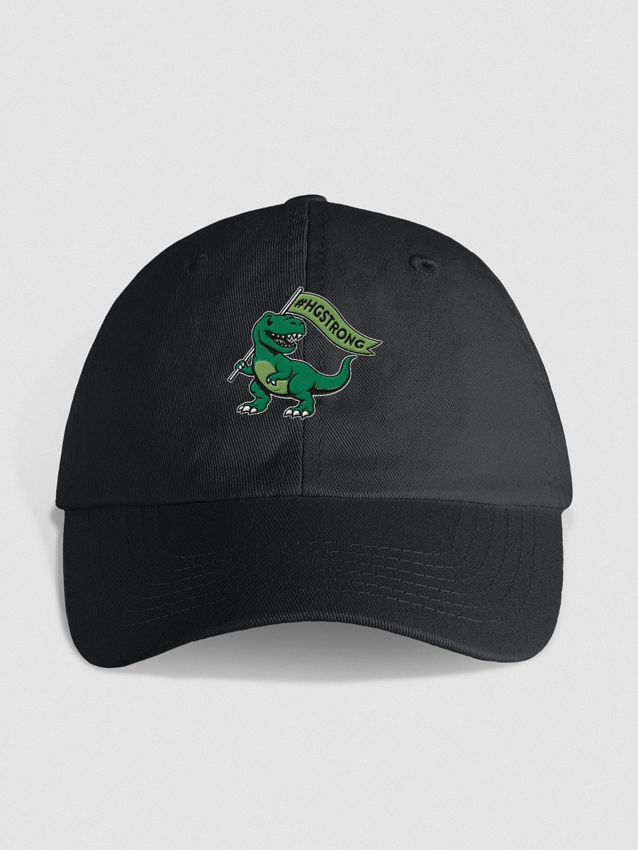 #HGStrong Youth Dad Hat product image (3)