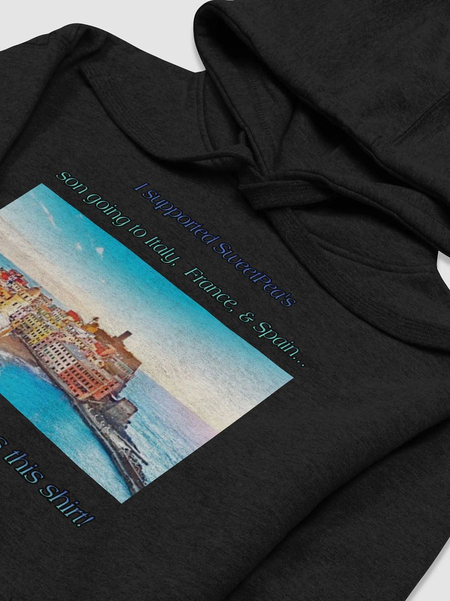EuroTrip2026 Support Shirt product image (5)