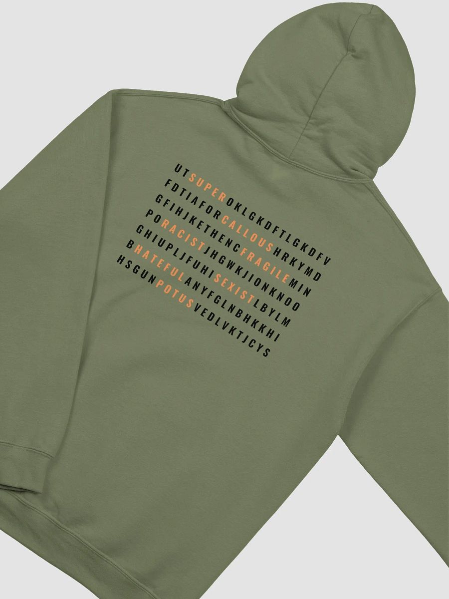 Practically Perfect Hoodie BOLD product image (3)