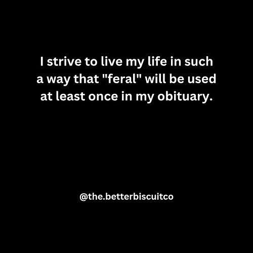 Credit: @the.betterbiscuitco ❤️