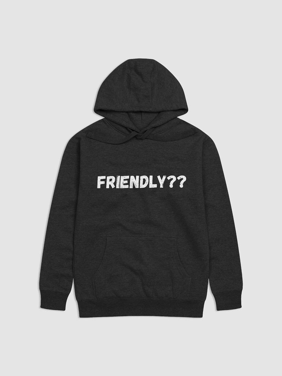 Friendly?? Hoodie. product image (1)
