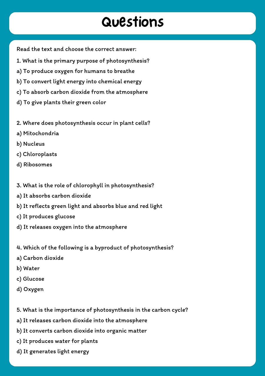 Photosynthesis Reading Comprehension Passage with Questions (PDF Download) product image (2)