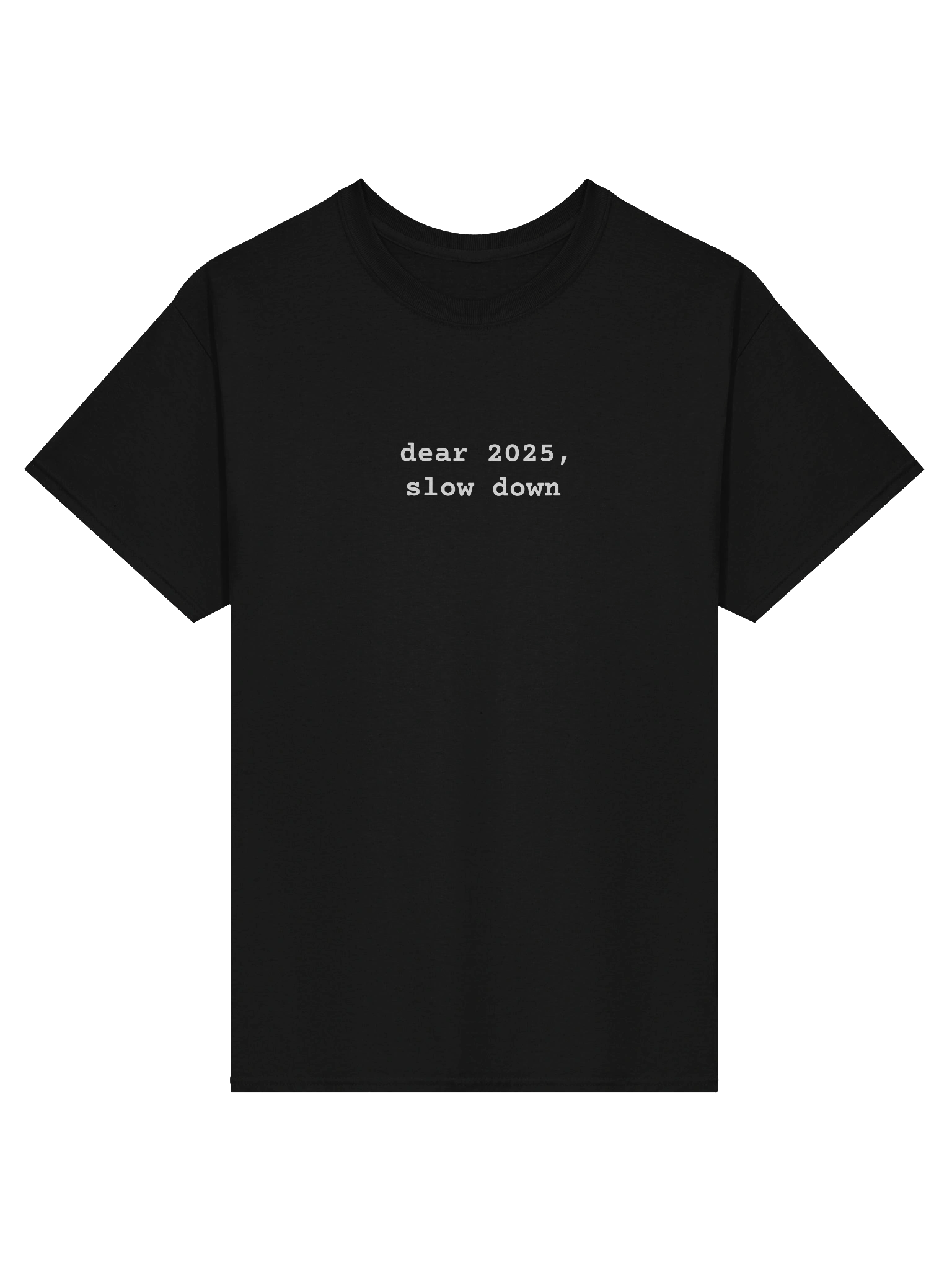 Funny Unisex T-Shirt 2025 - dear 2025, slow down product image (1)