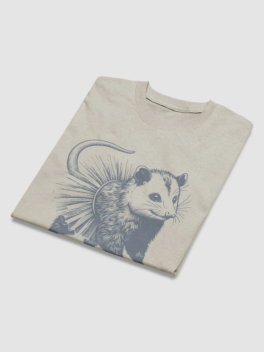 Opossum In Tutu Streetwear Tee product image (4)