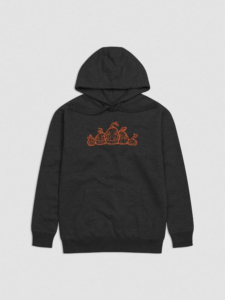 Patch O’ Jacks Embroidered Hoodie product image (5)