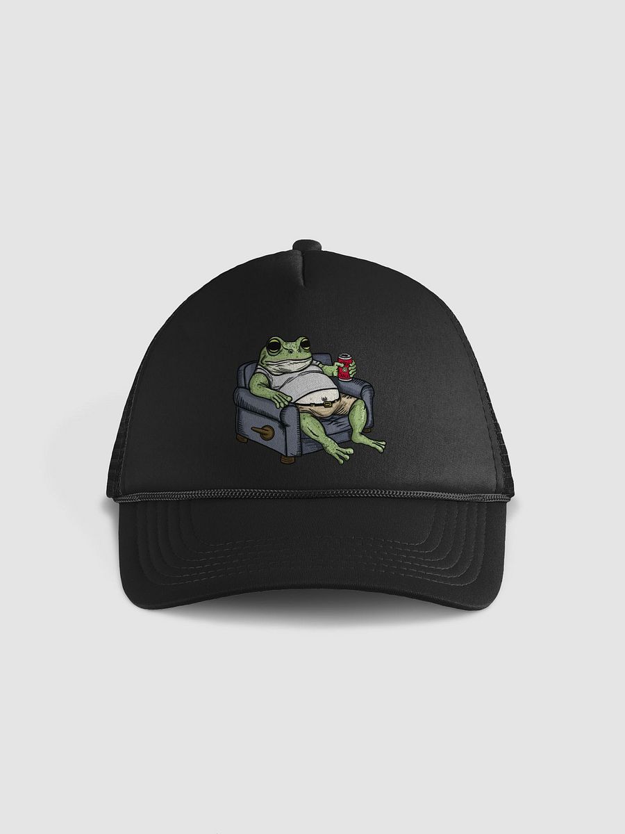 Frog on a Couch product image (1)