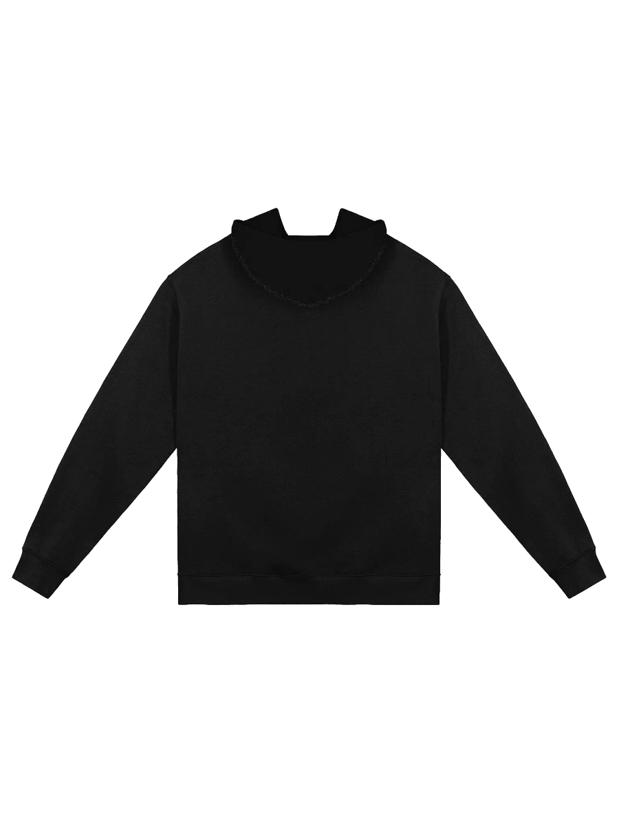 Unisex Premium Oversized Hoodie (Black) product image (2)