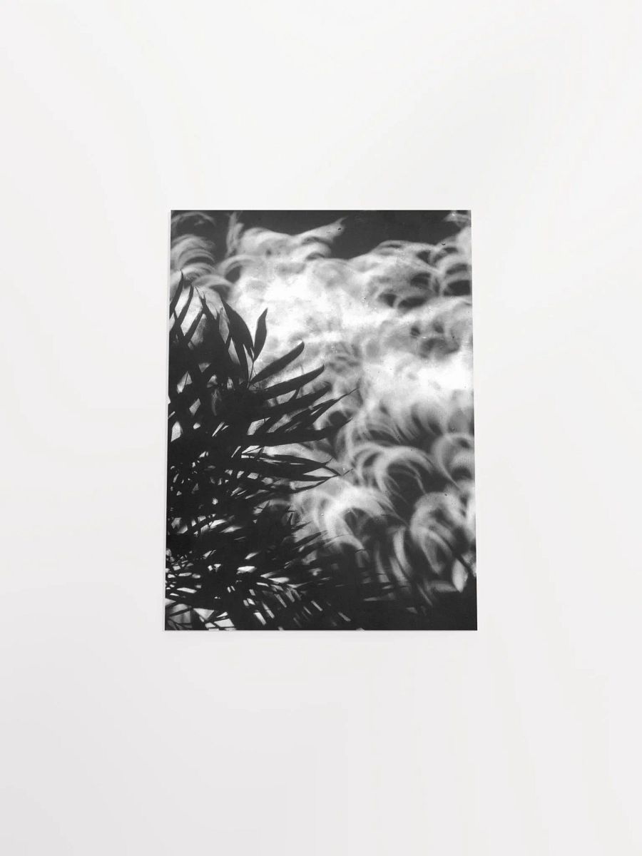 Crescents of Light from the Eclipse - Poster 1 product image (50)