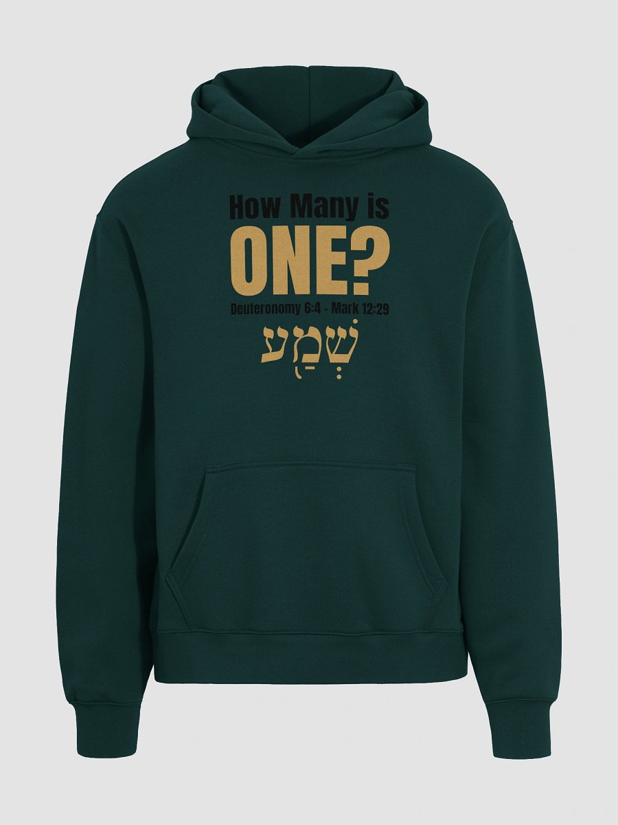 How Many is One Unisex Premium Oversized Hoodie (Black Print) product image (9)