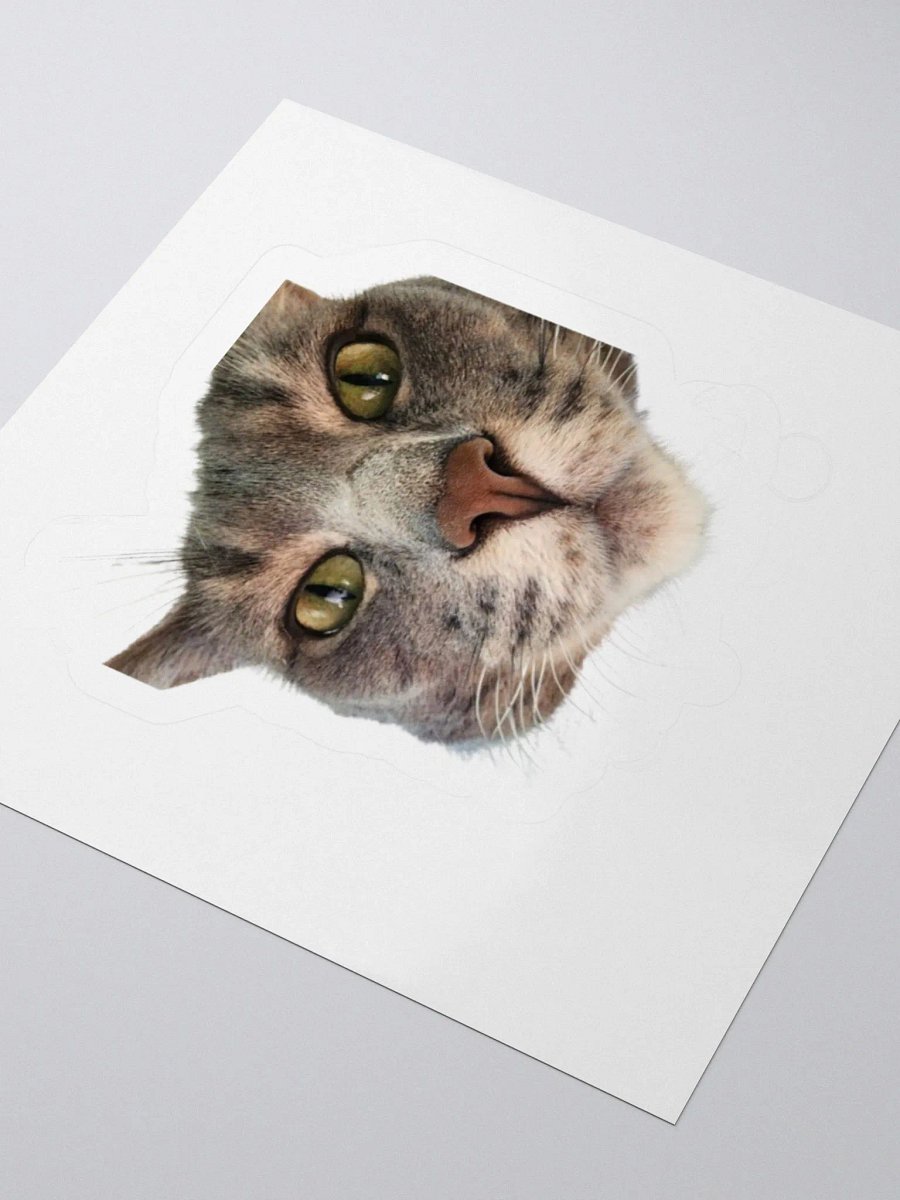 Sadie Sticker product image (3)