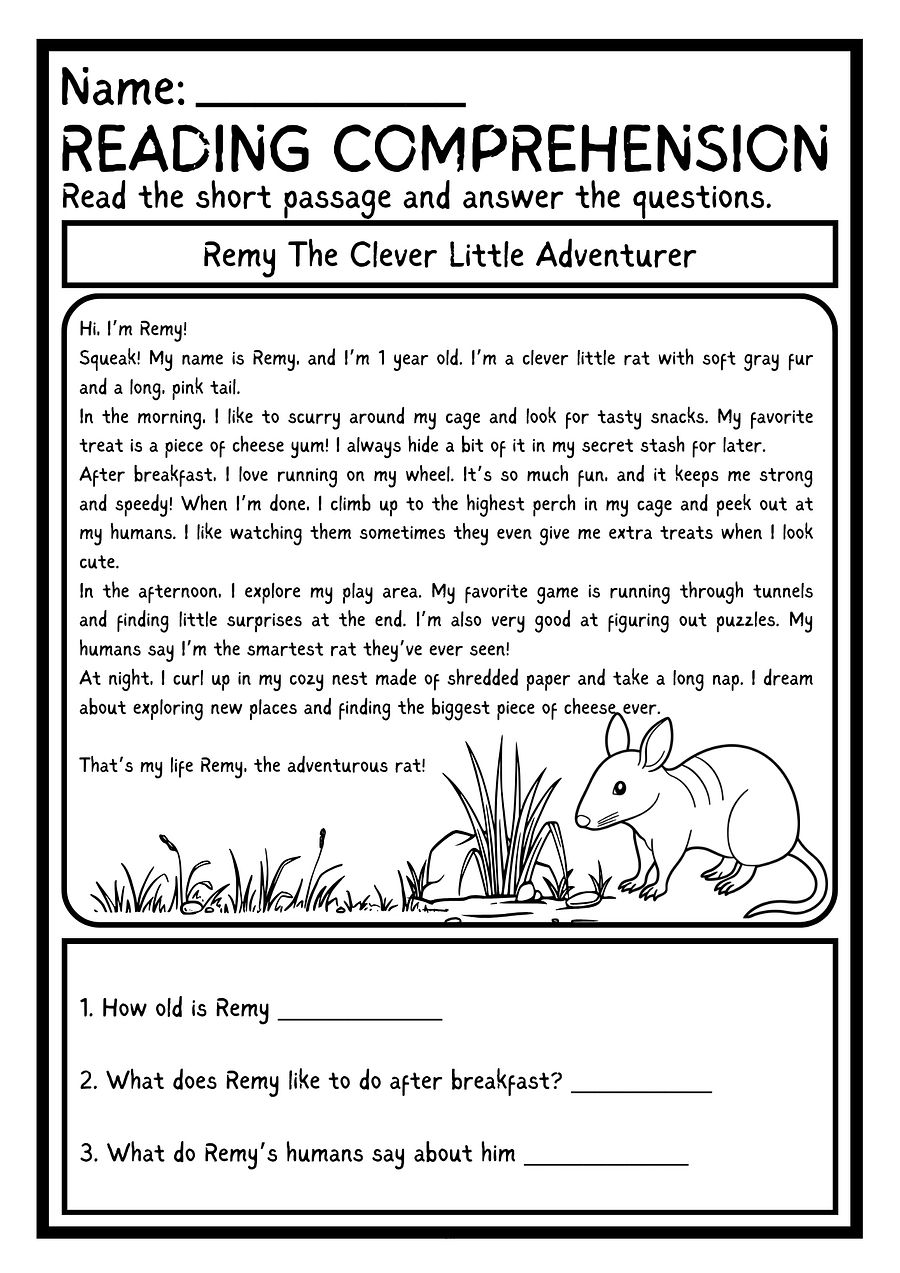 KINDERGARTEN READING COMPREHENSION WORKSHEET PRINTABLE product image (1)