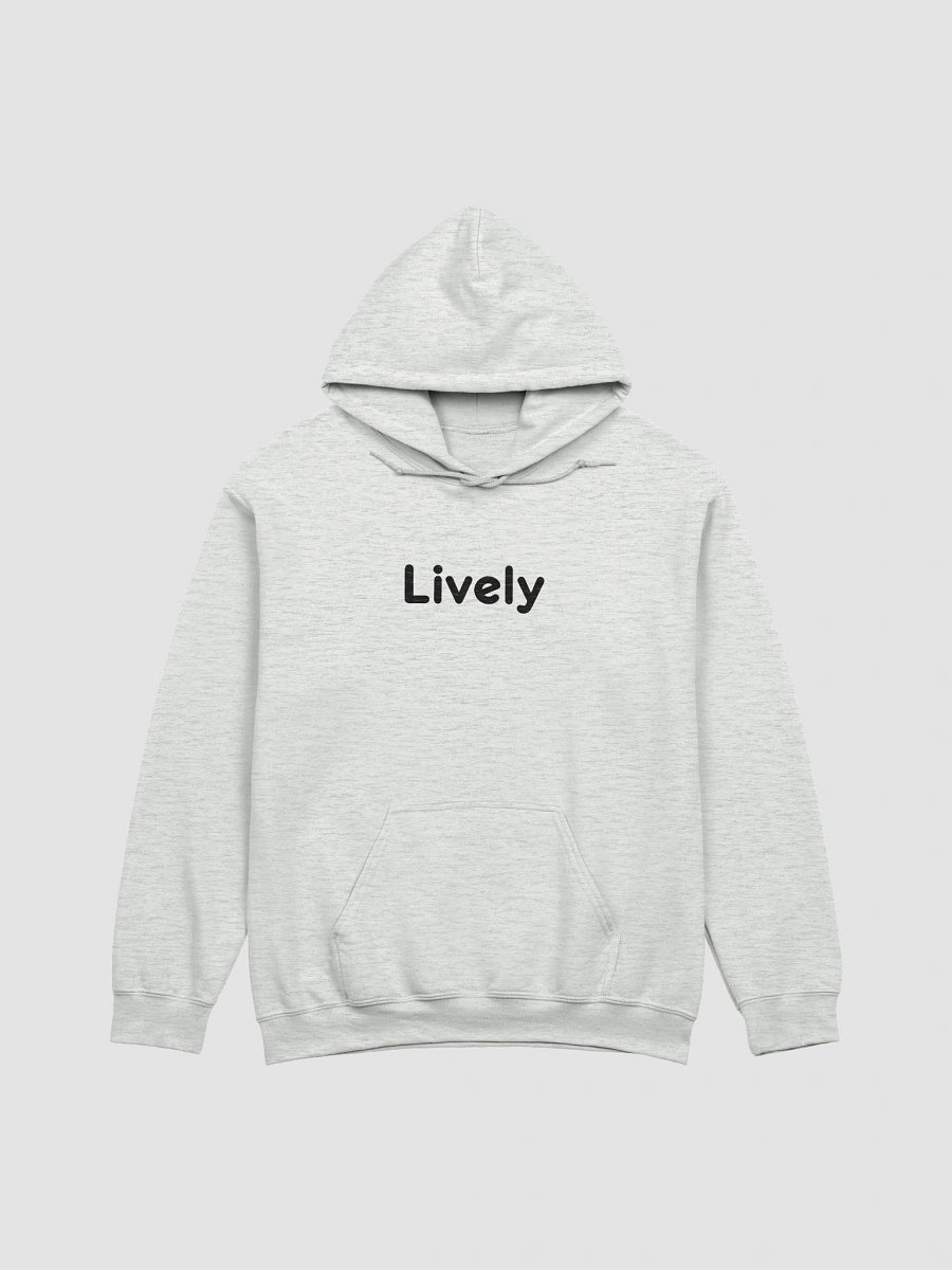 “Lively” My Vibe Streetwear Hoodie product image (3)