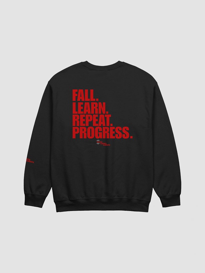 Fall. Learn. Repeat. Progress Sweater product image (2)