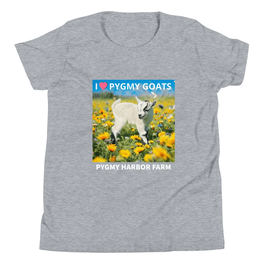 I LOVE PYGMY GOATS YOUTH T-SHIRT product image (1)