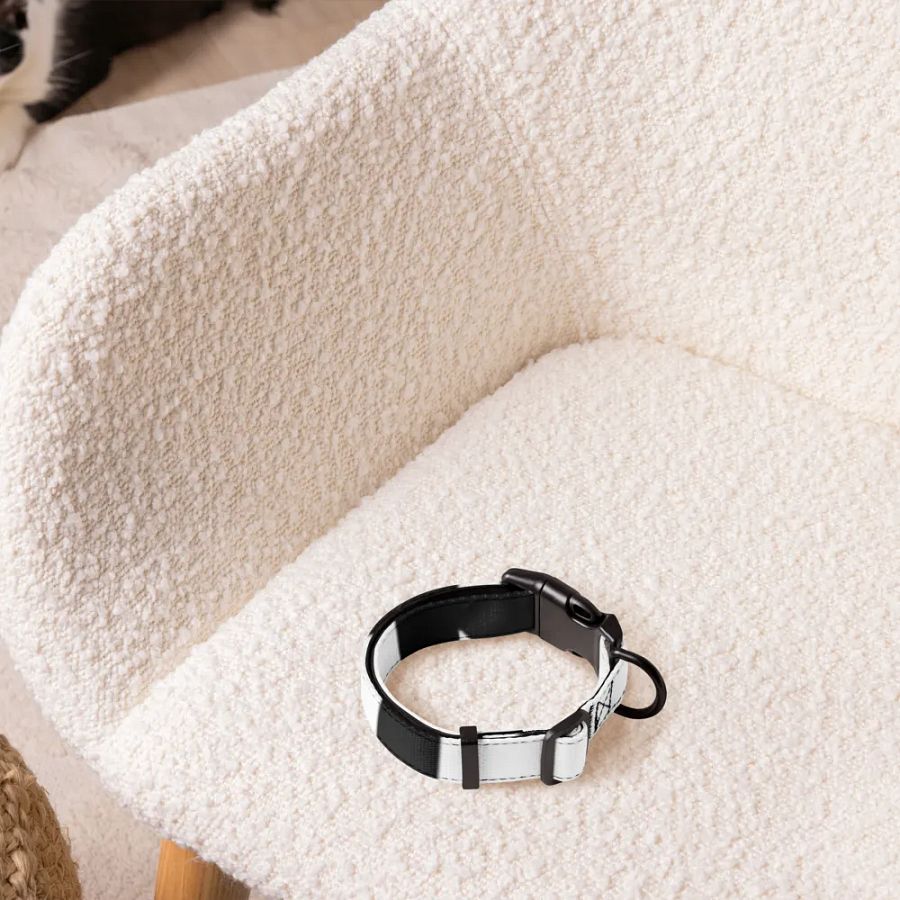 Zgarda pentru animale de companie product image (4)