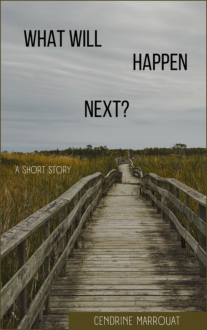 What Will Happen Next? A Short Story product image (1)