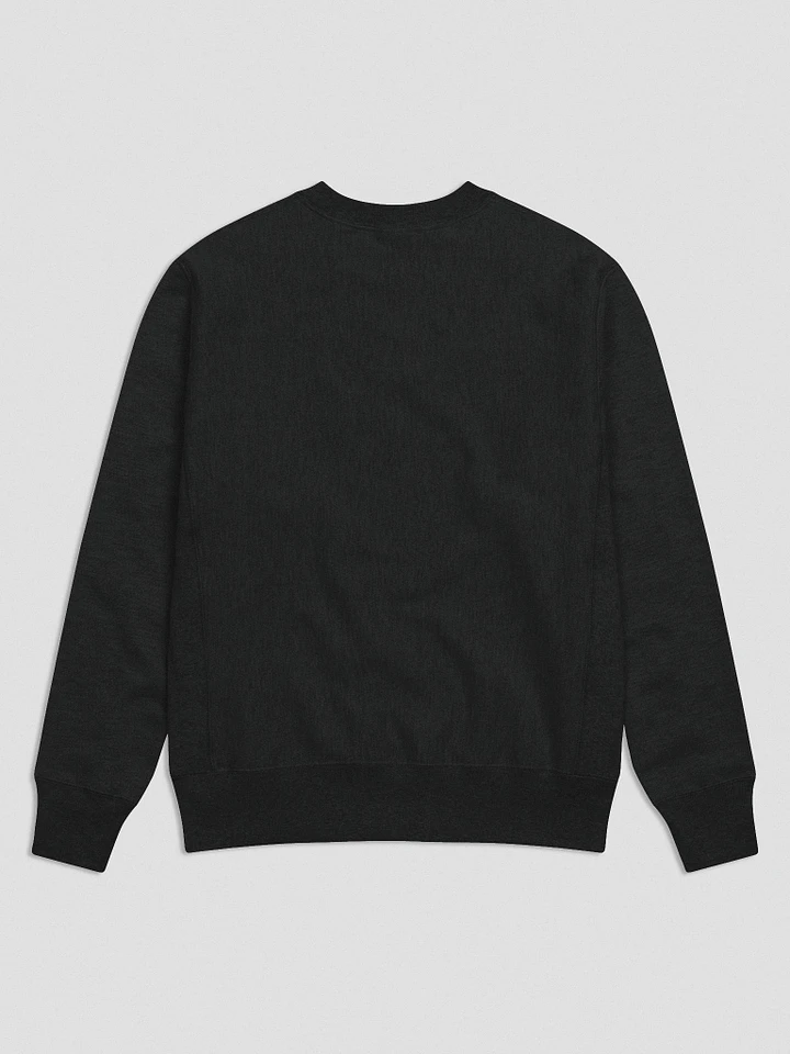 Whalley Logo Champion Sweater product image (3)
