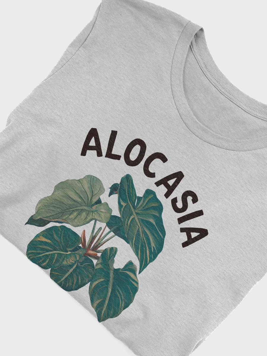 Alocasia Club product image (23)