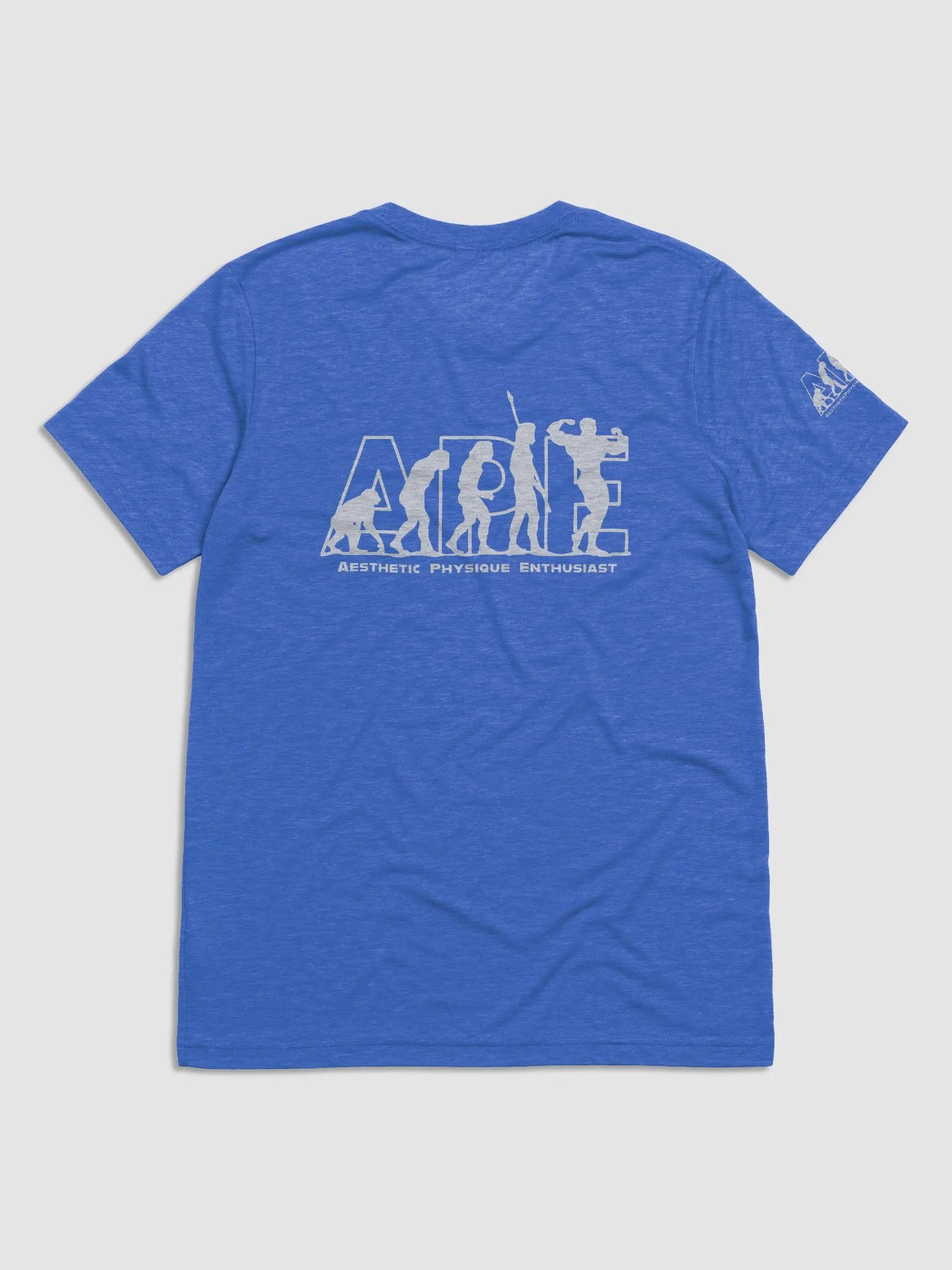 APEvolution: Iconic Back Logo Tee [Men's] product image (2)