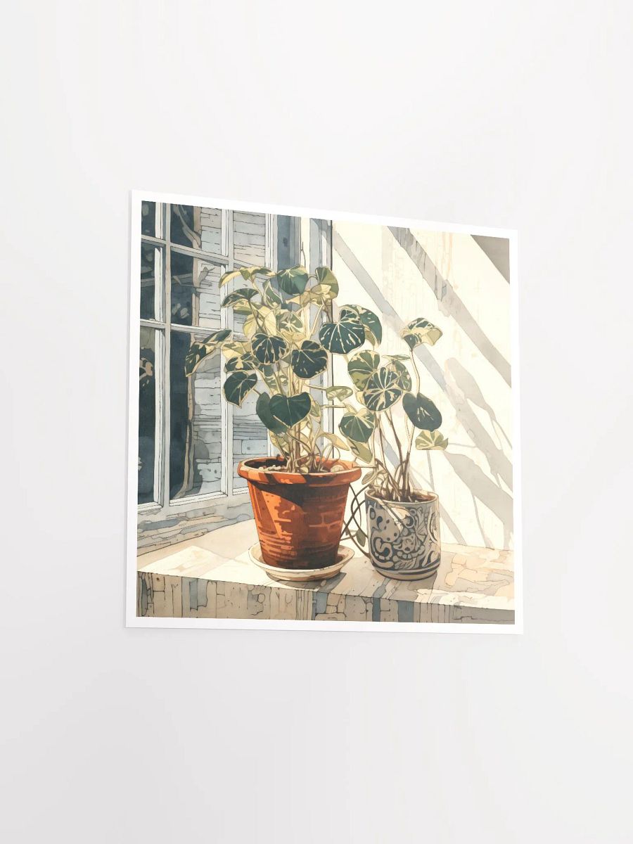 Art2401-10 Potted Plants Still Life - Art Print product image (14)