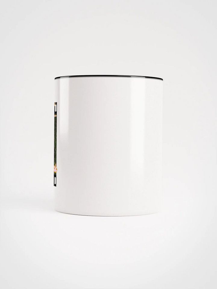 Golden Gate Park Raccoon Mug product image (2)