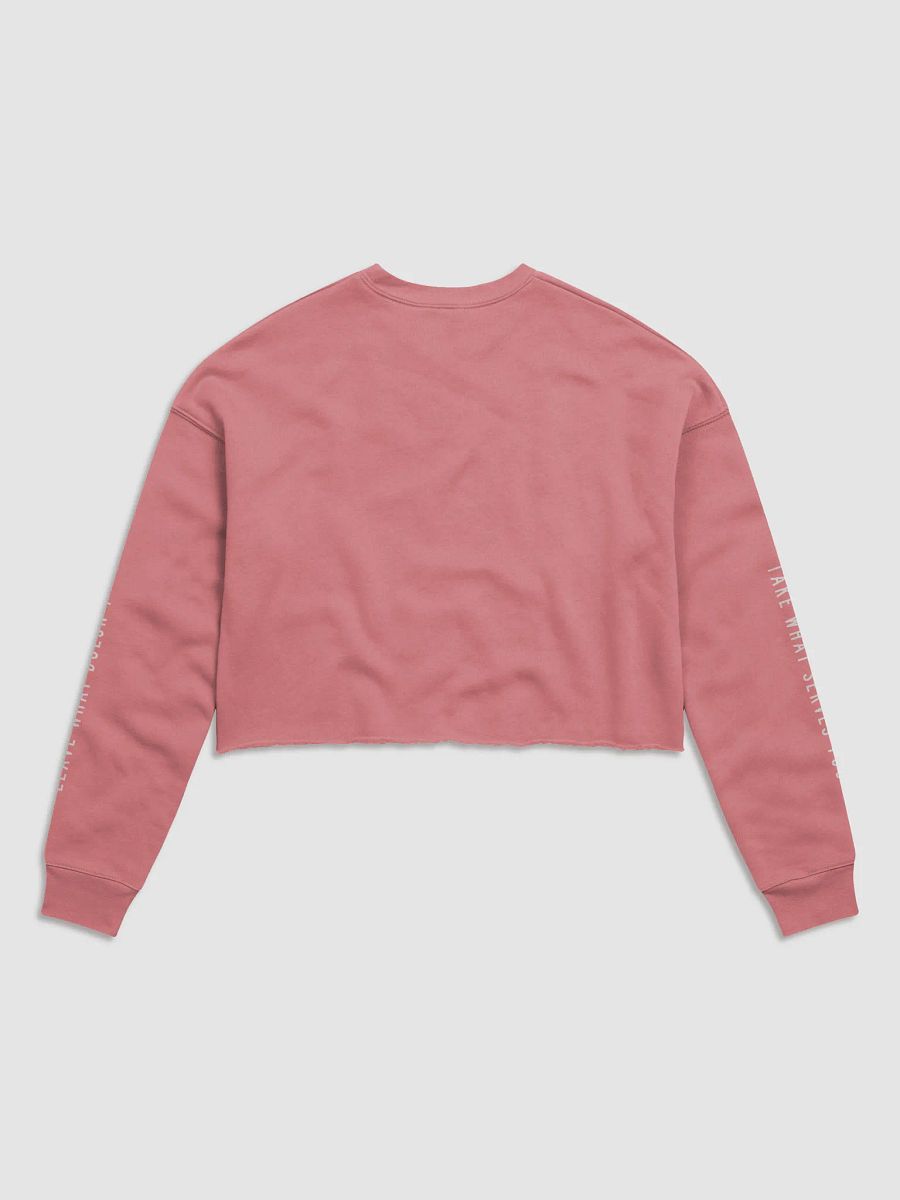 Flood Yoga Crop Top Longsleeve product image (3)