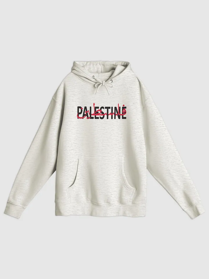Palestine Hoodie product image (1)