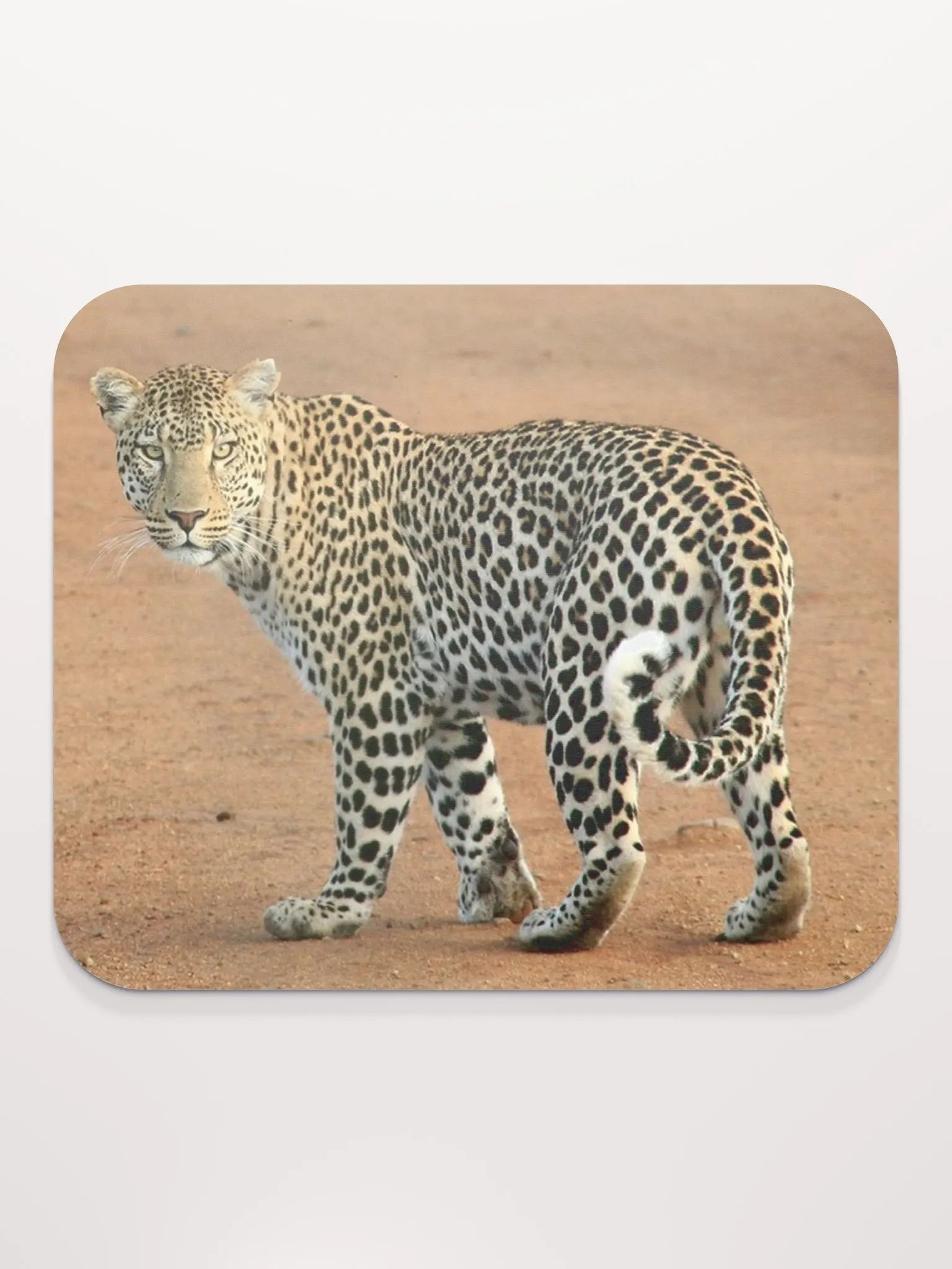 Leopard Elegance Mouse Pad - Stylish & Durable Desk Accessory for Gaming & Office Use product image (2)
