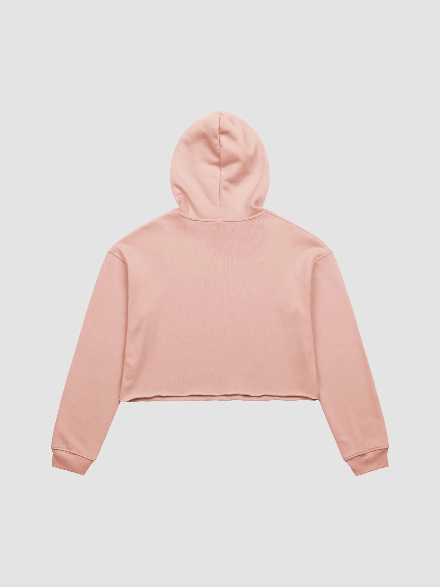 Haven Texas Crop Hoodie product image (2)