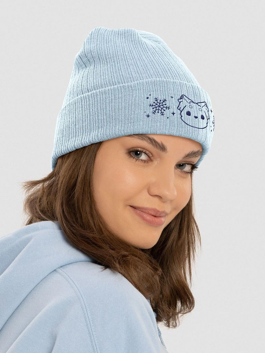 Arctic fox beanie | Arctic dreams product image (2)