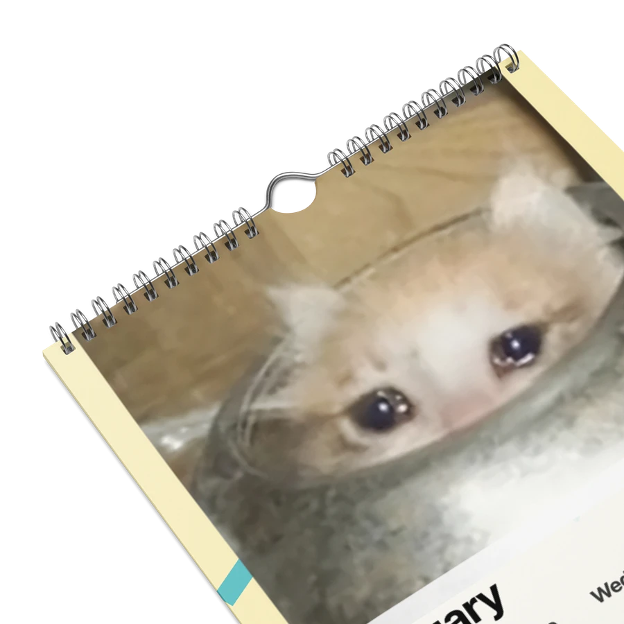 Wall Calendar (2024): Meme Cats product image (9)