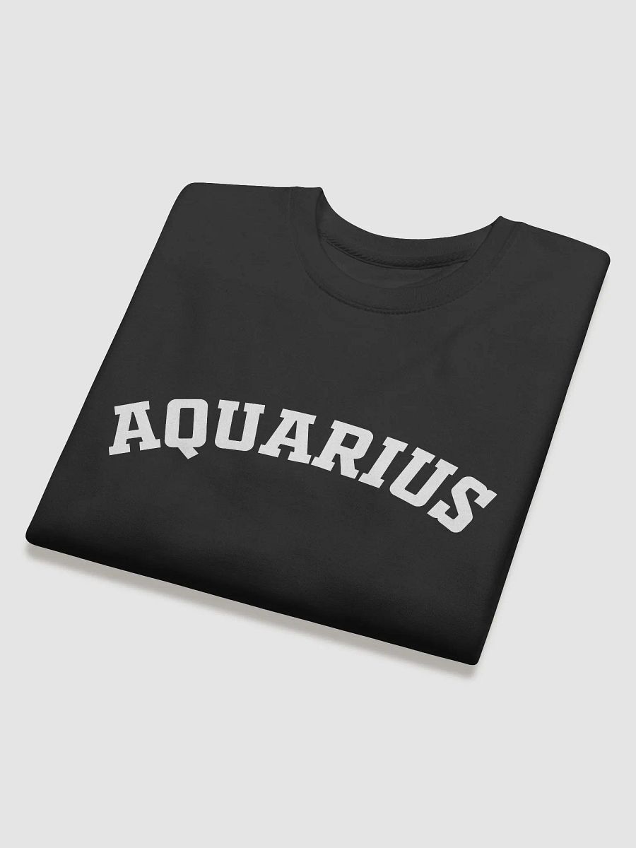 Aquarius Sweatshirt product image (4)