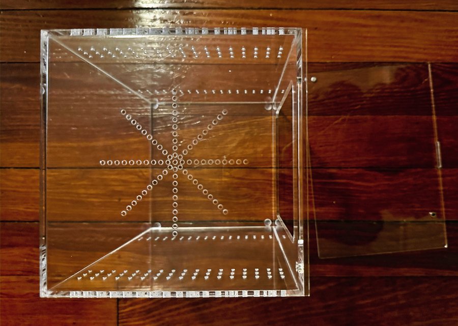CLEARANCE XL jumping spider enclosure product image (3)