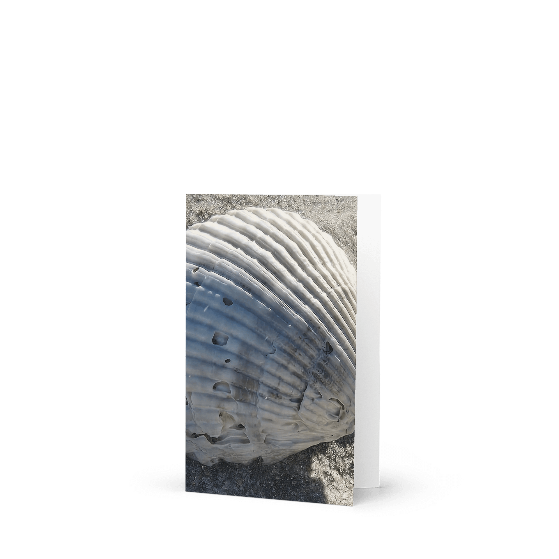 Seashell Tranquility Greeting Card product image (1)