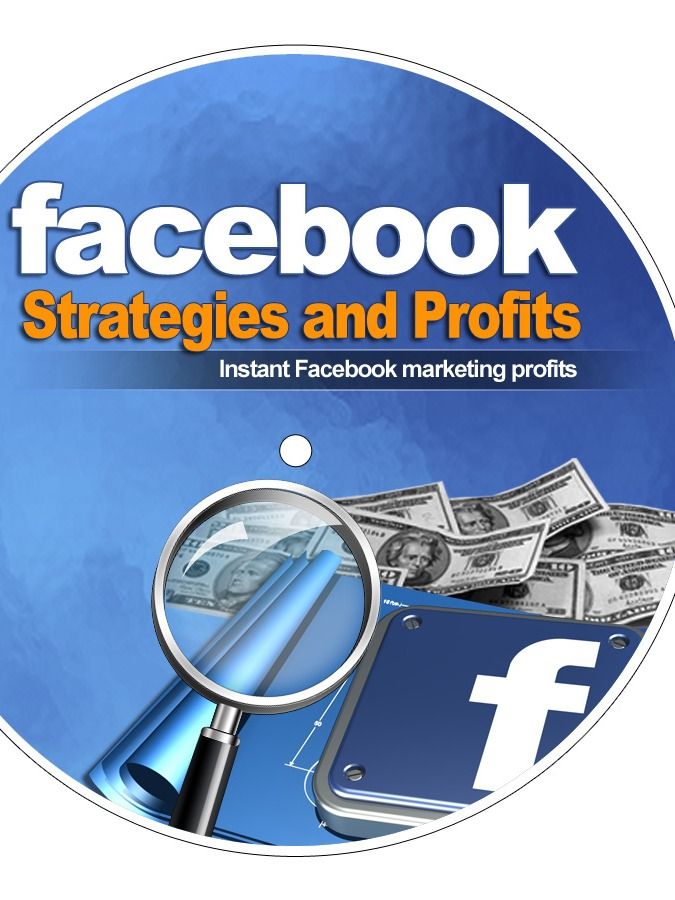 Facebook Strategies and Profits product image (3)