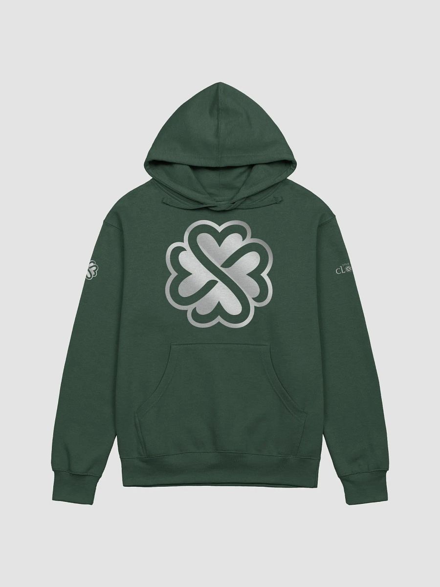 Midweight YLC Hoodie product image (3)