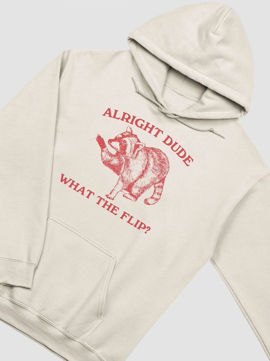 Alright dude what the flip Hoodie product image (3)