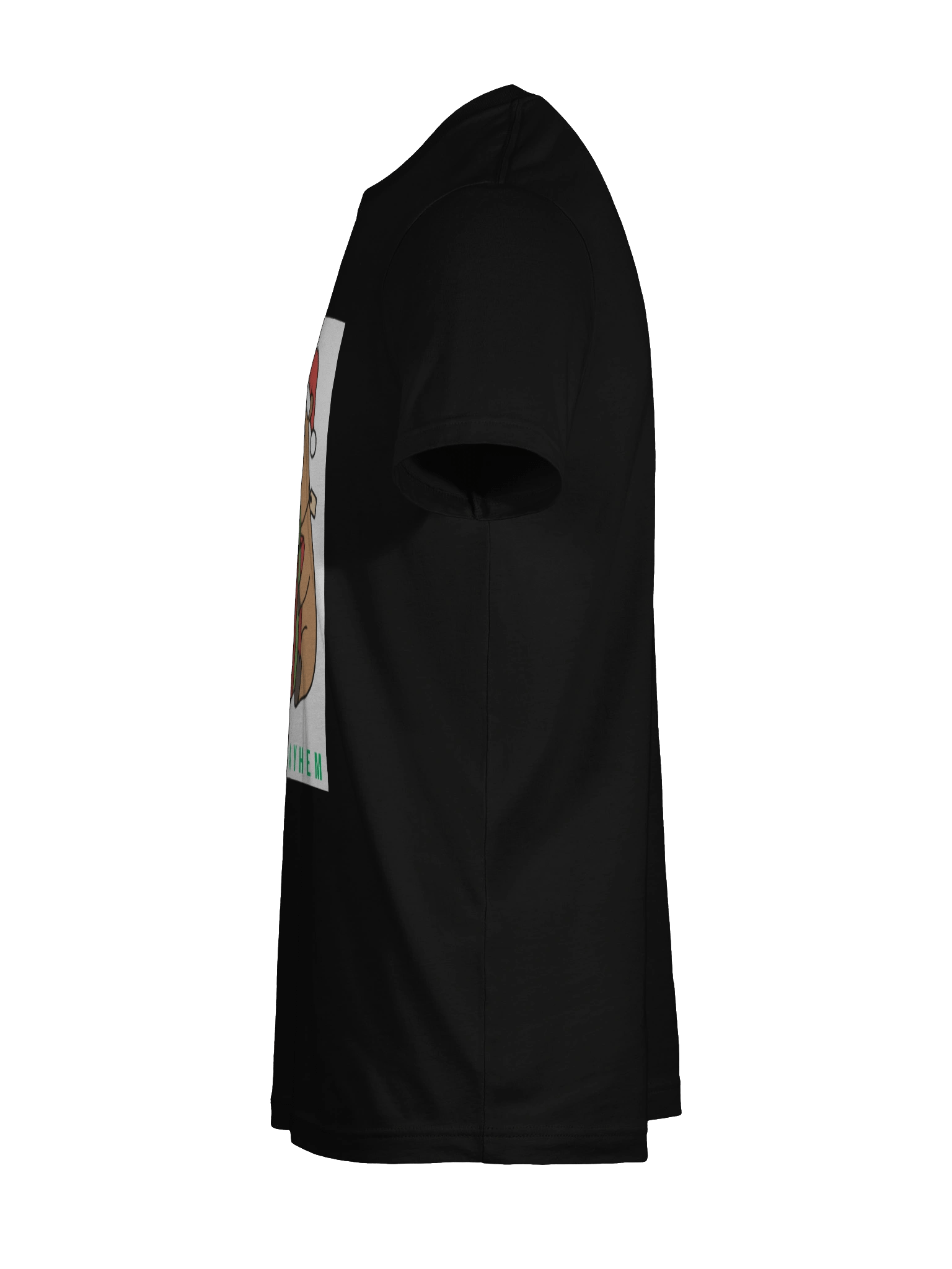 Merry Mayhem Capybara Tee product image (41)