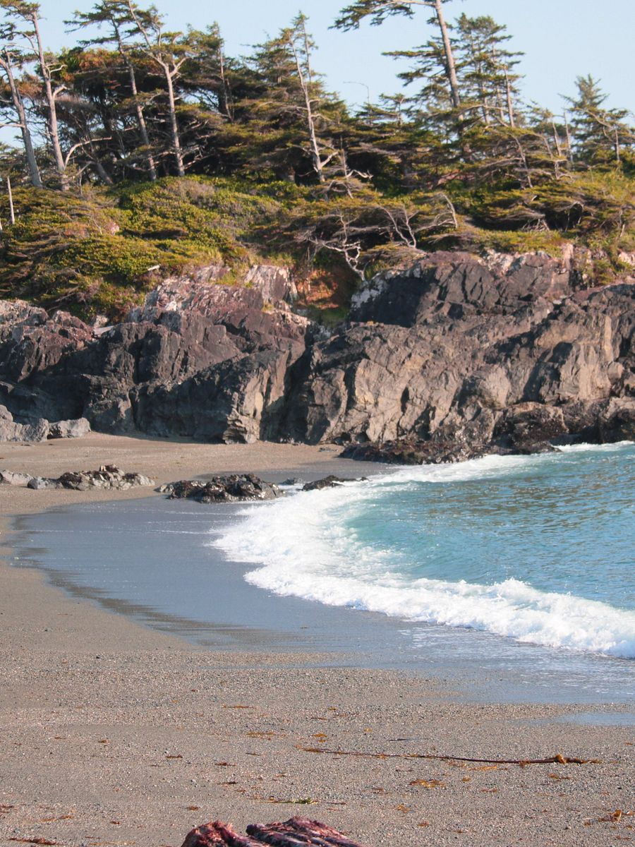 Wild Pacific Light product image (4)