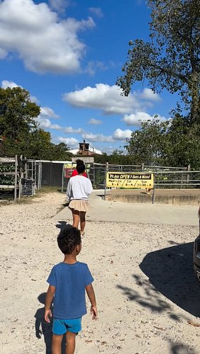 I picked up some of my favorite low-maintenance perennials today: multiplying onions. They are inexpensive to buy, easy to gr...
