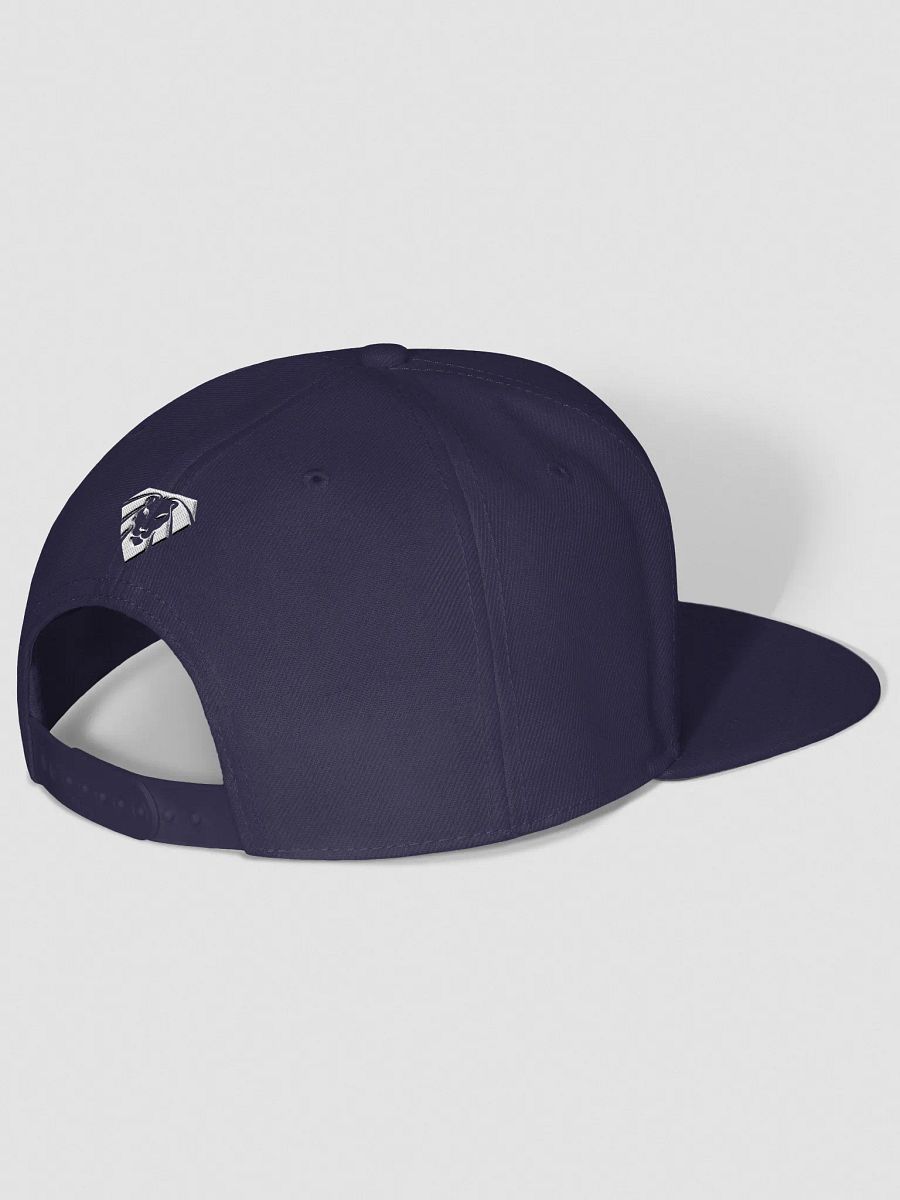 VIP Space Lion Snapback product image (38)
