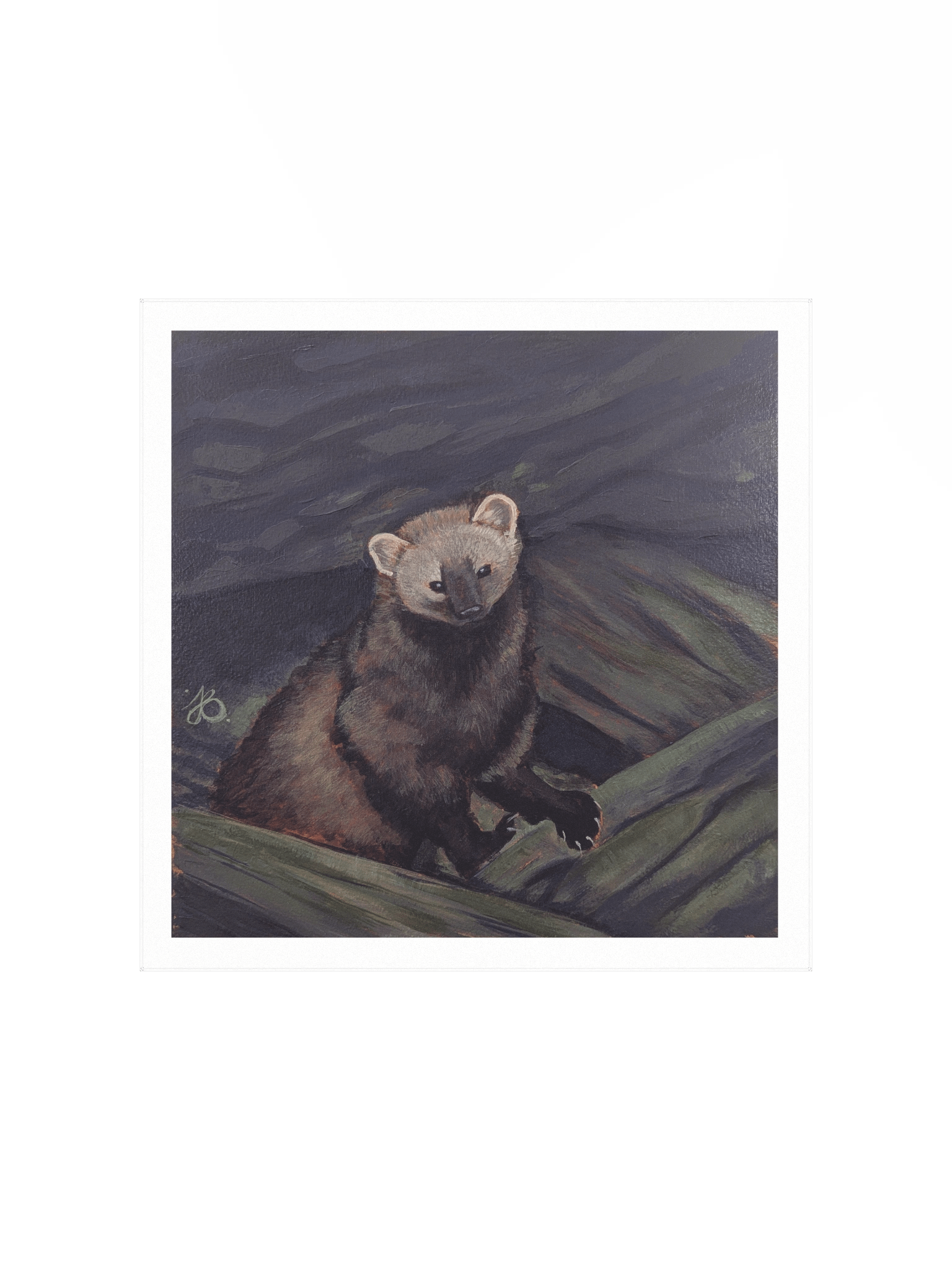 Shy Fisher Cat — Premium Matte Poster product image (1)