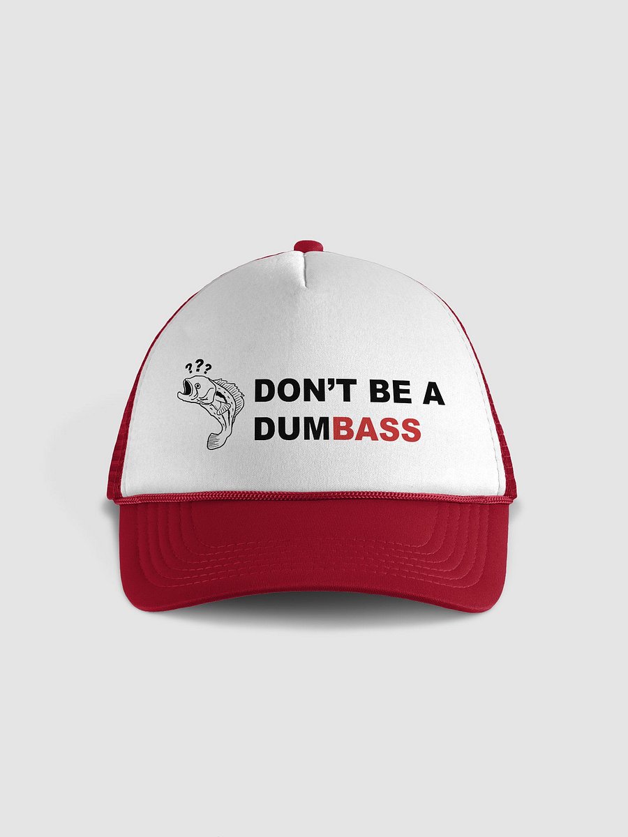 DON'T BE A DUMBASS TRUCKER HAT product image (1)