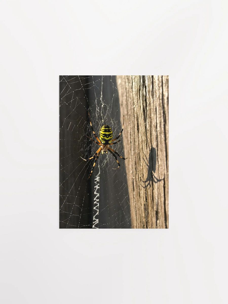 Golden Web: Yellow Garden Sentinel Poster product image (1)